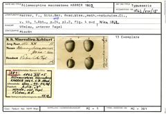 Karteikarte zum Syntyp von Allomorphina macrostoma Karrer, 1862